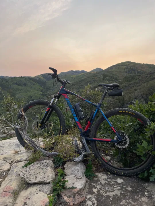 A mountain bike rests on a rocky overlook with green hills. Perfect for outdoor adventure with an RV rental.. Forest River Rockwood Roo 2019