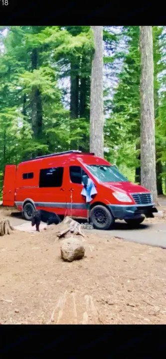 Bright red RV rental van parked in a lush forest campsite. A black dog relaxes nearby. Great for nature and travel.. Freightliner Sprinter 2011