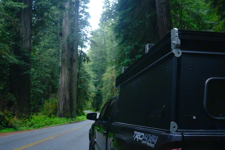 RV rental: A TRD 4x4 truck with a bed camper on a forest road lined by giant trees, hinting at an outdoor adventure.. Toyota Tacoma 2018