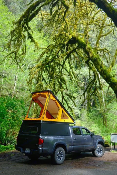 RV rental: A grey pickup truck with an orange pop-up camper parked under mossy trees in a lush forest. Ready for adventure.. Toyota Tacoma 2018