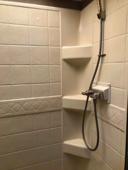 Inside an RV rental, this clean, compact white shower stall features textured walls, built-in shelves, and a handheld shower head.. Thor Motor Coach A.C.E 2018