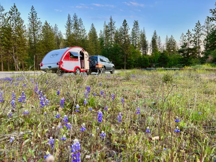 RV rental teardrop camper at a scenic stop, with a person in the doorway, amidst vibrant blue wildflowers and pine trees.. TAB T1 2007