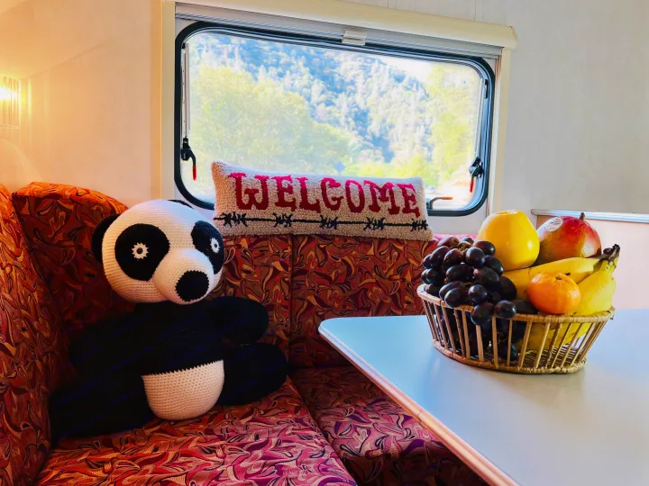 Inside a cozy RV rental: a panda plush, welcome pillow, and fruit basket, with a serene window view of green trees.. TAB T1 2007