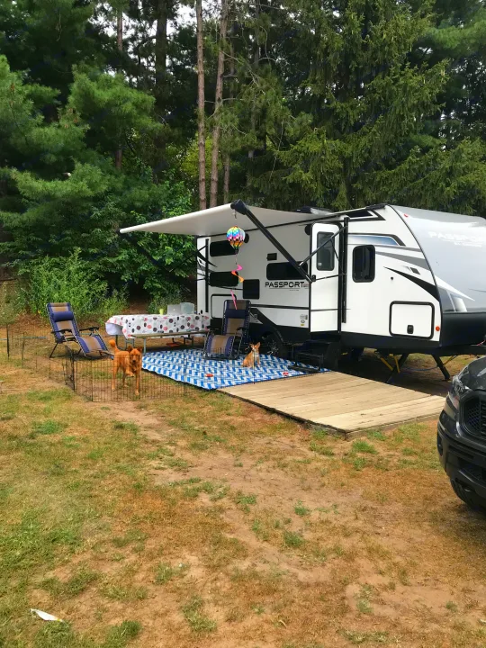 An RV rental travel trailer is set up at a shaded campsite with an extended awning, picnic table, and dogs in a playpen.. Keystone RV Keystone Passport 2021