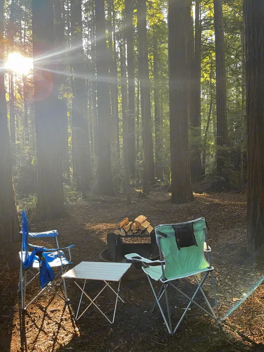 Peaceful forest campsite with chairs, table, and firewood at a fire pit, bathed in sunlight. Great for RV rental stays.. Airstream Basecamp X 2021