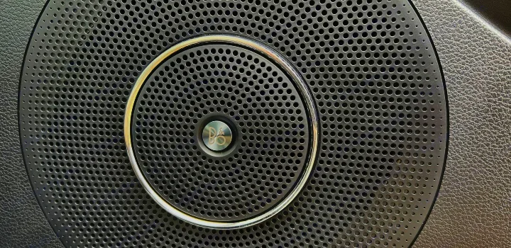 RV rental: High-fidelity B&O audio speaker grille, showing perforated pattern and chrome ring.. Ford Ford Expedition 2021