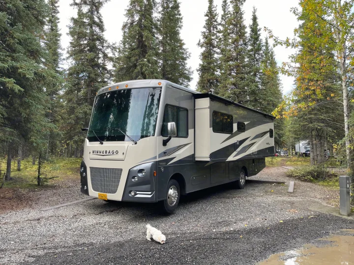 Winnebago RV rental parked at a serene campsite among tall evergreen trees. A small white dog explores the gravel ground.. Winnebago Vista 2022