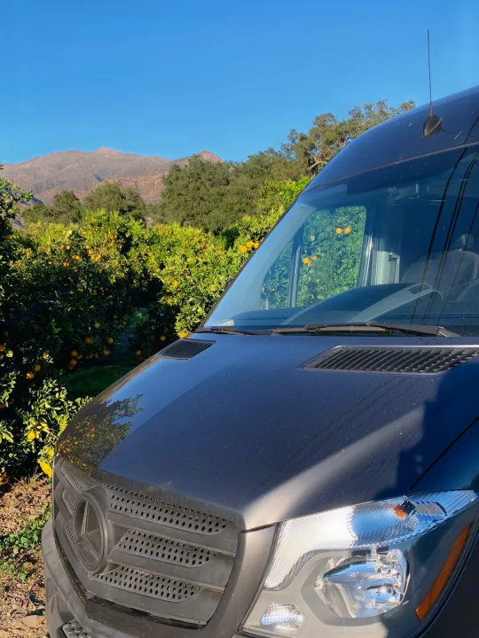 Enjoying nature: an RV rental van parked in a vibrant orange grove, backed by majestic mountains.. Mercedes-Benz Sprinter 2016