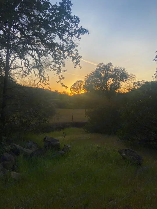 Tranquil sunset over trees, field, and rocks, ideal for your next RV rental escape into nature's beauty.. Mercedes-Benz Sprinter 2013