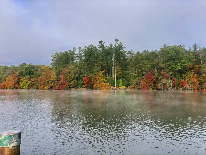 Serene lake with vibrant fall foliage and mist, perfect for an RV rental getaway.. Forest River Forester MBS 2018