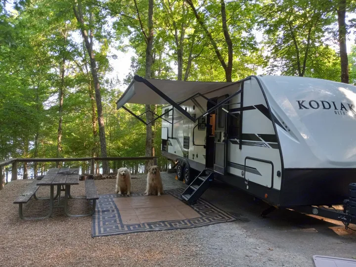 Perfect rv rental getaway: Two fluffy dogs by a Kodiak travel trailer at a serene campsite with a picnic table.. Dutchmen Kodiak 2020