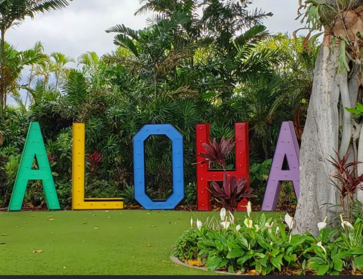 Colorful "ALOHA" sign (green, yellow, blue, red, purple) amidst lush tropical foliage. Perfect RV rental destination!. Chevrolet Other 2005