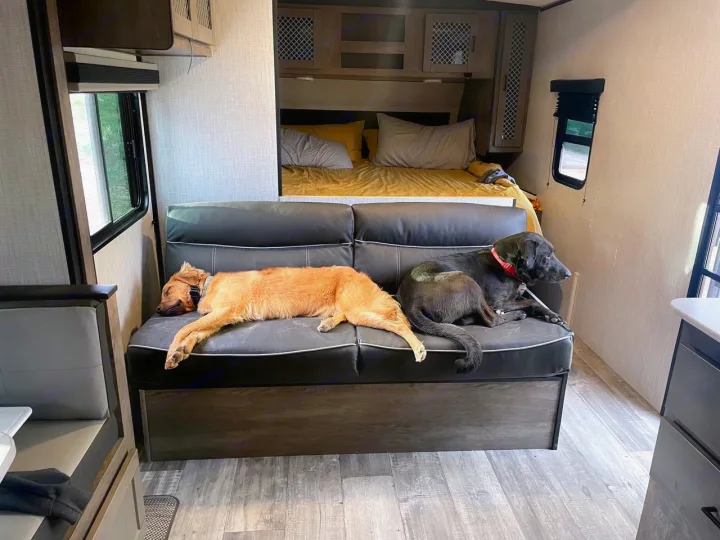 An RV rental interior with a golden retriever sleeping and a black lab resting on a comfy sofa. A bed is visible in the background.. Heartland RVs North Trail 2021