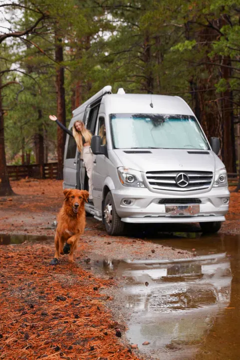 Airstream Interstate 2016