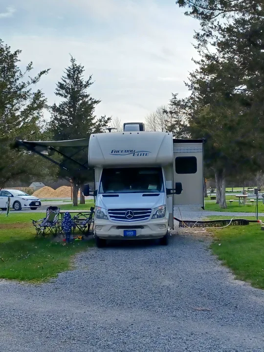 Thor Freedom Elite 2018