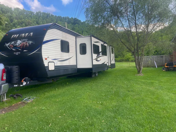 Palomino Real Lite 2019