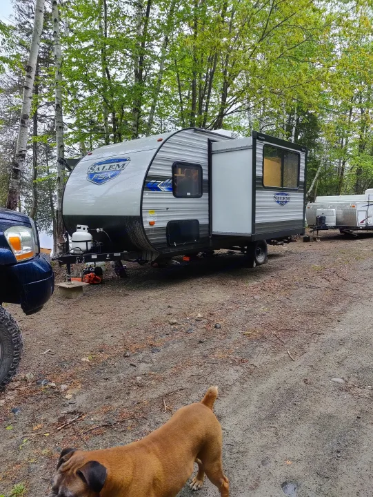 Salem FSX RV rental and another trailer at a wooded campsite. A brown dog stands on the dirt road.. Forest River Salem FSX 2022