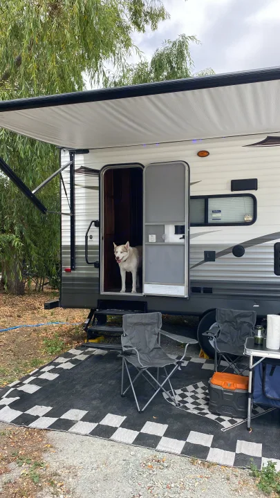 Pet friendly dog 🐕. Forest River Cherokee Grey Wolf 2014