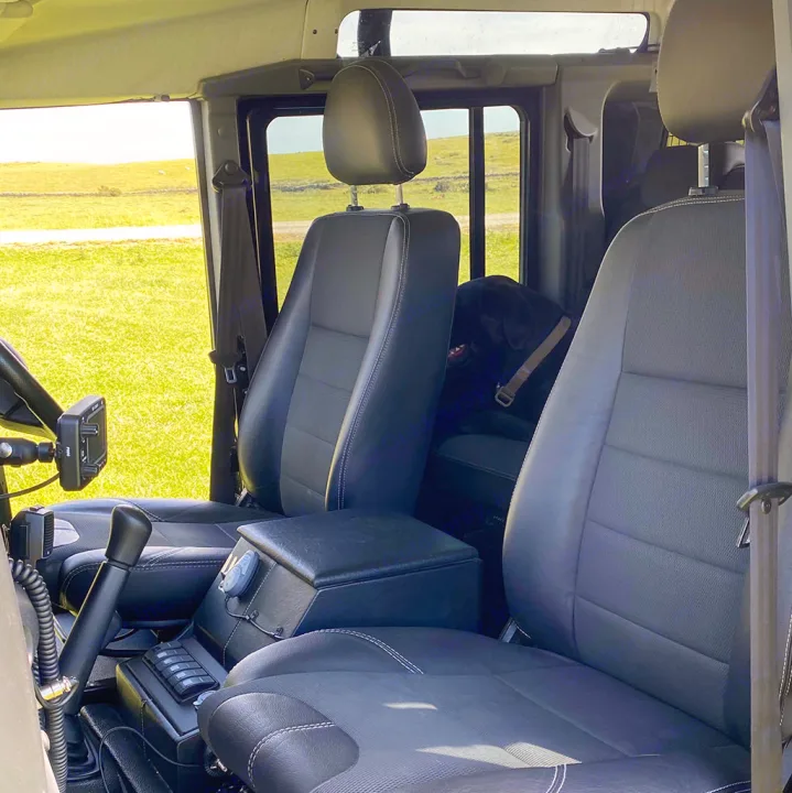 Inside a spacious 4x4 with black seats & a happy dog, looking out at green fields. Imagine this freedom with an RV rental!. Land Rover Defender 110 XS Utility + 2 Roof Tents 2013