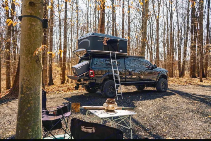 Dodge Dodge 1 Ton Pu 2020