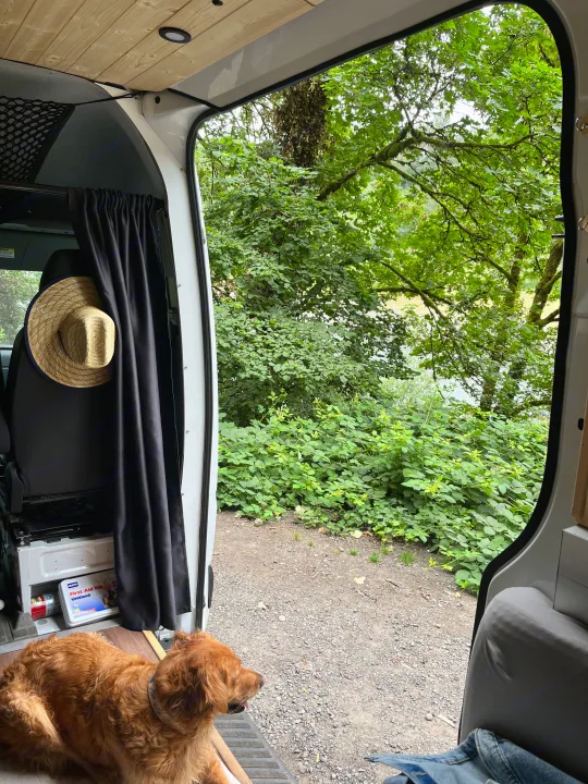 Our rv rental with a scenic rear view of lush trees & a path. A golden-brown dog relaxes, enjoying the van life.. Freightliner Sprinter 2010