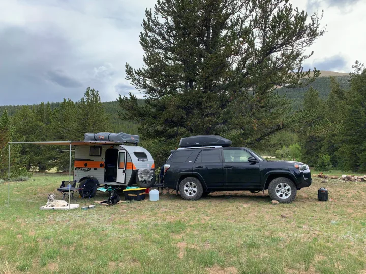 Camping scene: compact RV rental, SUV, and two dogs relaxing at a scenic campsite among pine trees.. Sunset Park RV SunRay 2021