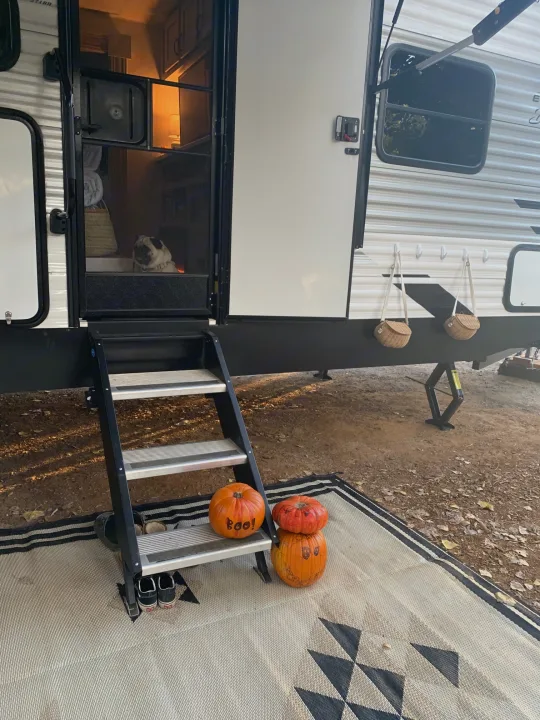 Fall vibes at an rv rental campsite: pumpkins, an outdoor rug, a ladder, and a cute dog inside the RV bunk area.. East to West Other 2022