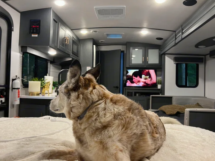 Keystone RV Bullet Premier Ultra Lite 2022
