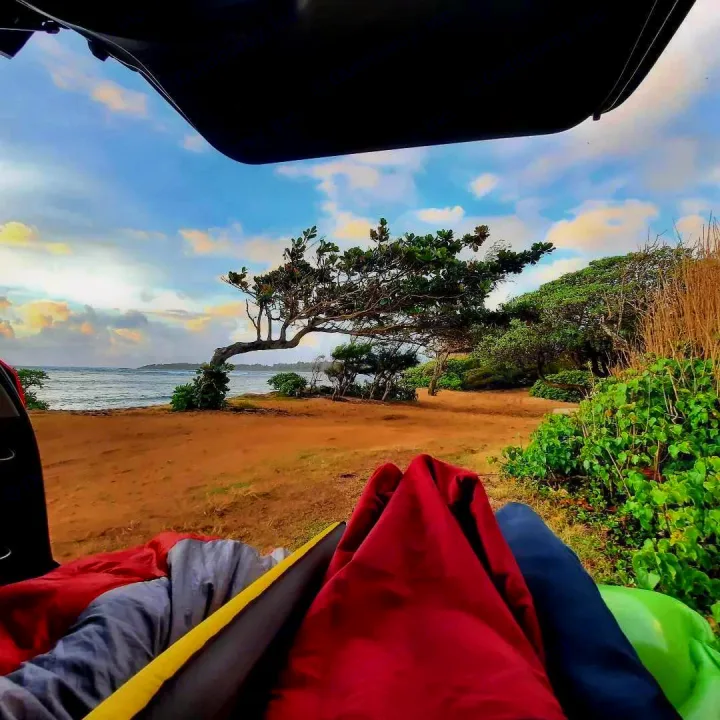 RV rental adventure: Relaxing inside with a stunning view of the ocean, sandy coast, & unique wind-bent tree.. Gmc Terrain 2015
