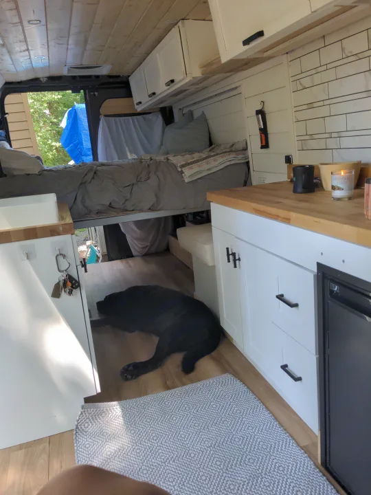 RV rental interior featuring a raised bed, a kitchenette with a lit candle and hanging keys, plus a black dog on the floor.. Dodge Ram 3500 Pro master 2022