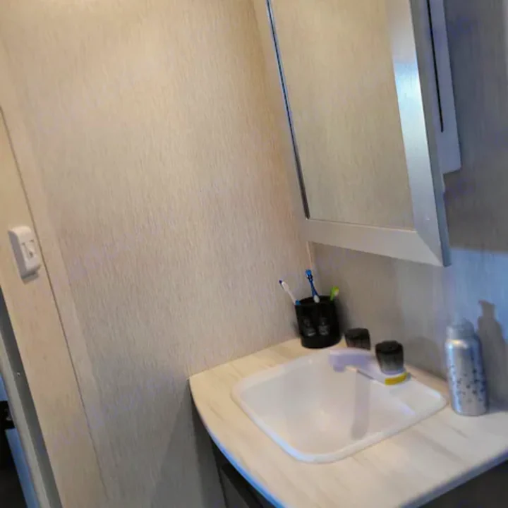 RV rental bathroom: A compact white sink, mirror, and toiletries on a light counter. Practical for travel.. Forest River Salem Cruise Lite 2022