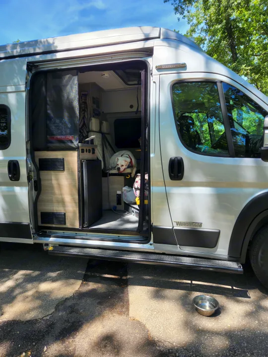 Winnebago Solis RV rental: A happy dog inside a cozy camper van, parked outdoors with its side door open for adventure.. Winnebago Solis 2022