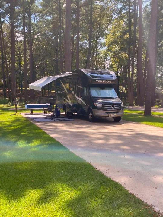 Black Tiburon RV parked at a scenic, treed campground site with awning, table, and chairs. Great RV rental setup.. Thor Tiburon 2020