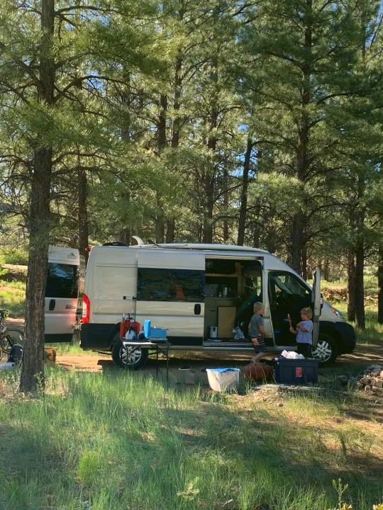 Dodge Promaster 2500 2020