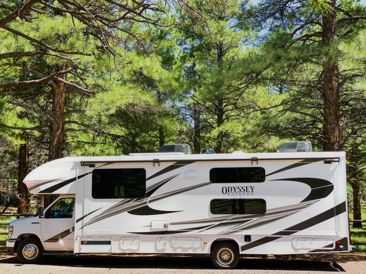 RV rental: White Odyssey Entegra motorhome with black graphics, parked in a sunny pine forest.. Entegra Coach Other 2022
