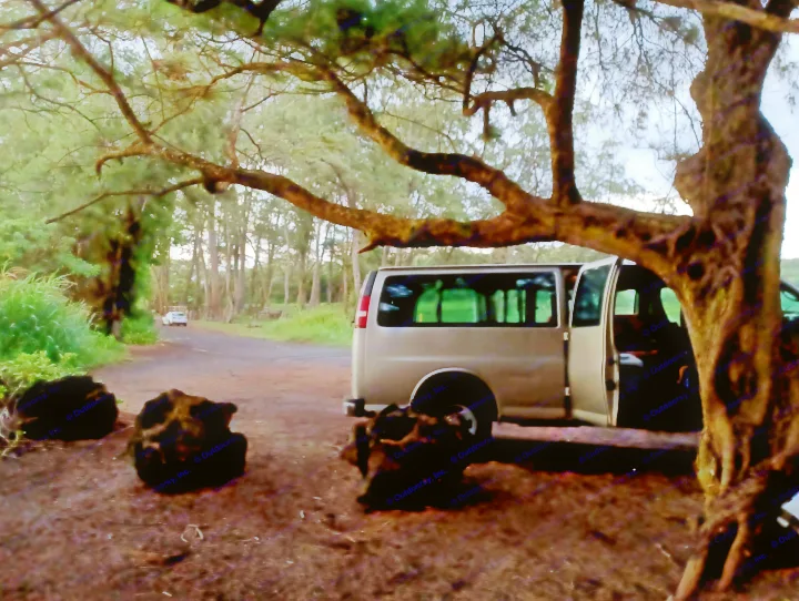 Silver camper van, an RV rental, parked on a dirt road under a large tree. A scenic travel stop.. Chevy Express 3500 LS 2005