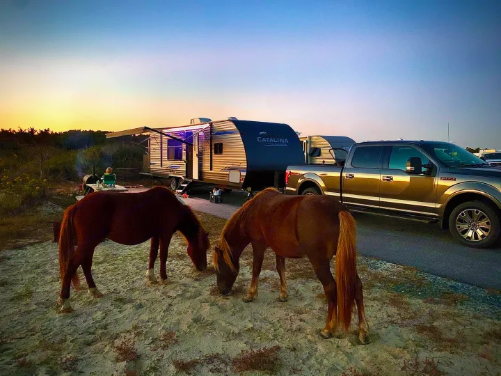 Coachmen Catalina 2021