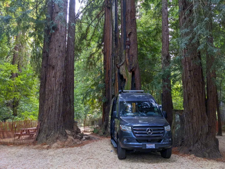 RV rental van parked among towering redwood trees. A dark grey Mercedes-Benz Sprinter on a gravel path in a serene forest.. Thor Sanctuary 2022