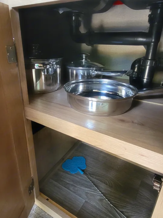 Winnebago Micro Minnie 2020