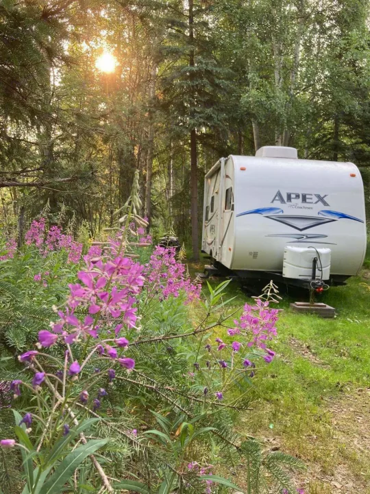 RV rental camping in a beautiful forest with vibrant purple fireweed flowers, sun shining through trees.. Coachmen Apex 2012