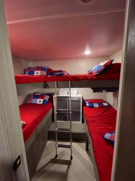 RV rental interior featuring multiple bunk beds with red bedding, patriotic pillows, a ladder, and built-in storage.. Forest River Wildwood 2020