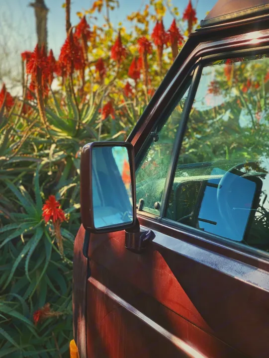 Maroon RV rental, side view showing mirror & window, amidst vibrant green aloe plants with red flowers under blue sky.. Volkswagen Westfalia 1990