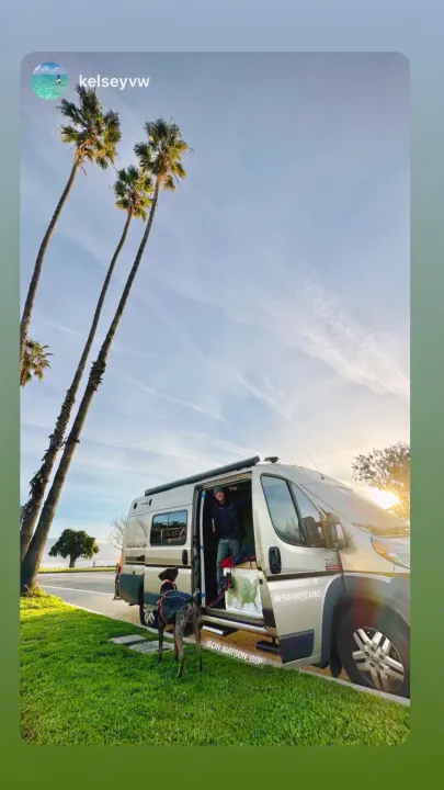 Adventurous RV rental journey! A person smiles from a camper van, with their dog on green grass beside palm trees under a sunny sky.. Winnebago Travato 2014