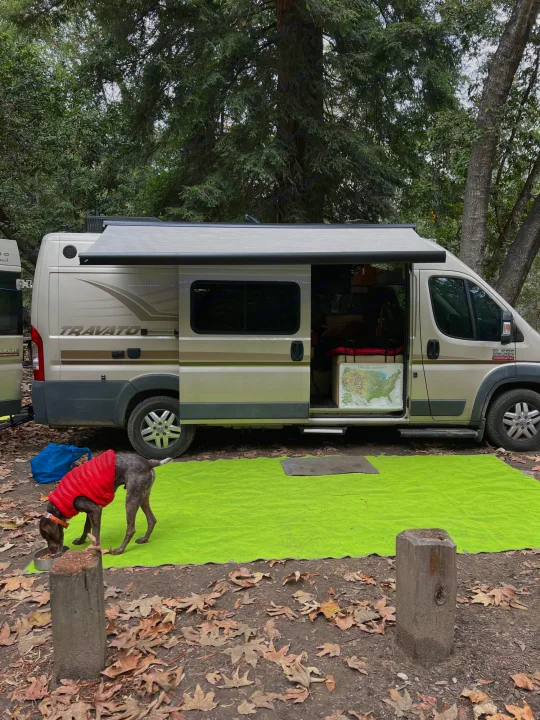 Dog in red coat eats near an RV rental camper van with an open side door & green mat at a wooded campsite.. Winnebago Travato 2014