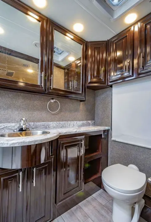 RV rental: modern bathroom with dark cabinets, light countertop, sink, toilet, and wood-look floor.. Thor Motor Coach Challenger 2019