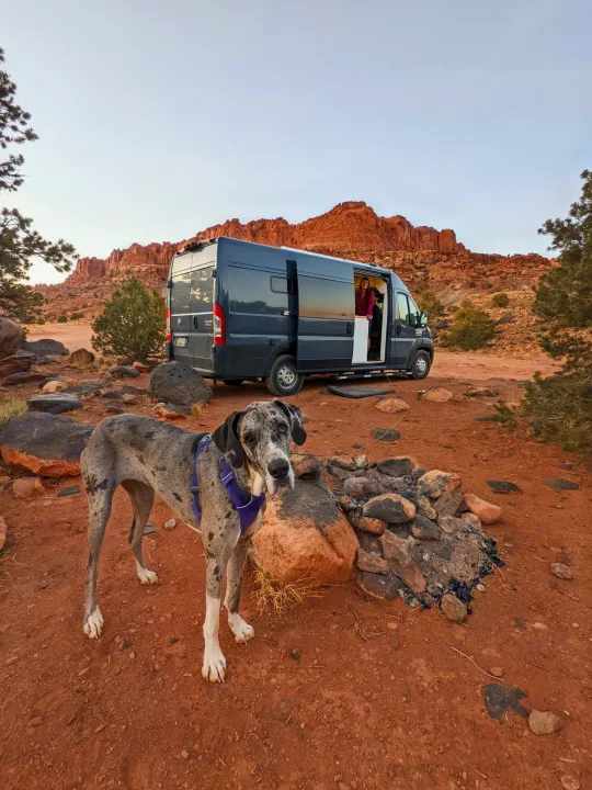 Scenic desert boondocking with a merle Great Dane and a sleek RV rental. A person peeks from inside the van.. RAM Promaster 2019