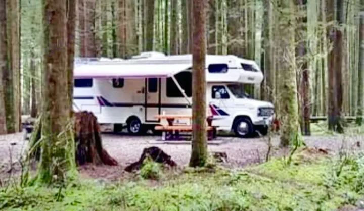 Enjoy nature with an RV rental! A white Class C RV is parked in a lush, green forest campsite with a picnic table.. Ford Econoline 1988