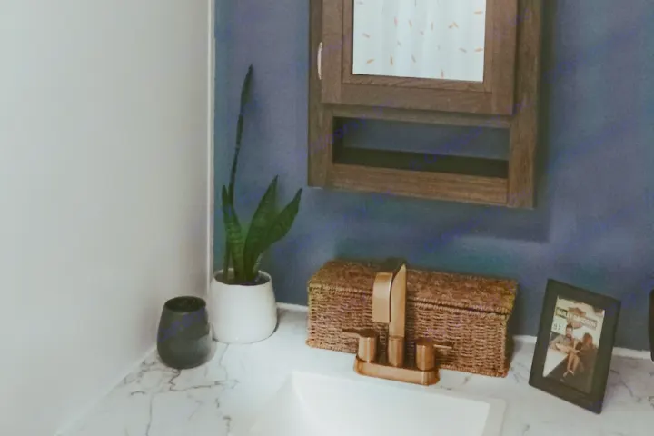 RV rental bathroom: modern vanity with white sink, gold faucet, snake plant, and wicker storage box.. Dutchmen Kodiak Cub 2020