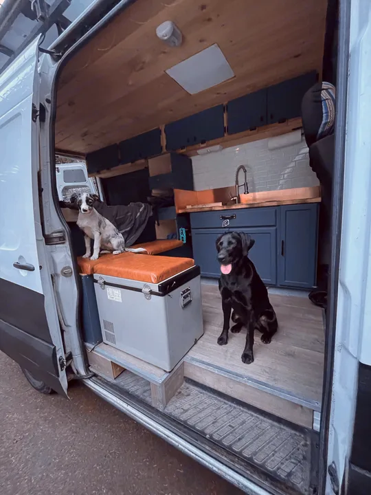 Our van is dog friendly and approved. Aspen and Moxie enjoy mountain bike adventures in the van. . Dodge Sprinter Van 2008
