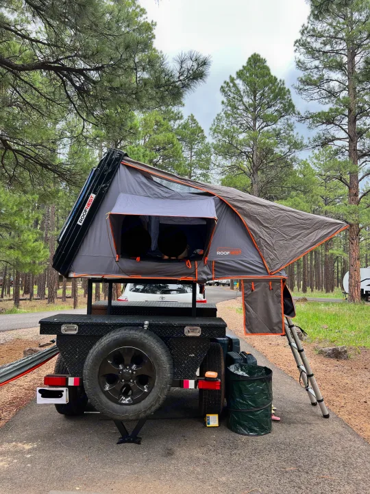 A ROOFNEST rooftop tent on a black utility trailer serves as a compact RV rental option, set up among tall pines for a serene camp.. Ady ORT 2022